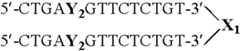 Figure US07851453-20101214-C00035