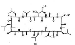 Figure BPA00001287625400241