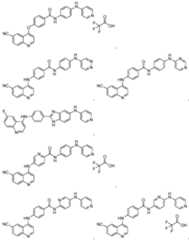 Figure imgf000206_0001