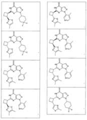 Figure 112016075837427-pct00122