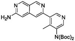 Figure BDA0002911816760001112