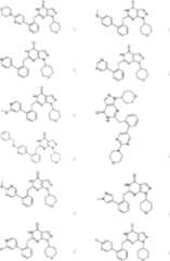 Figure FDA0000095696580000081