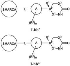 Figure BDA0003783300830000361