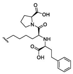 Figure imgf000082_0002