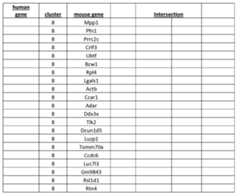 Figure imgf000121_0001