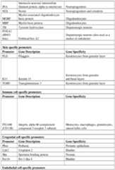 Figure imgf000207_0001