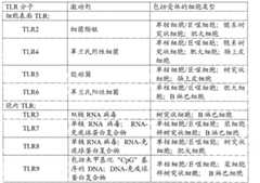 Figure BPA00001479426900031