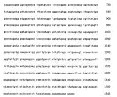 Figure 107123784-A0202-12-0220-52