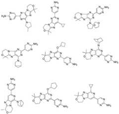 Figure BDA0001402557760000291