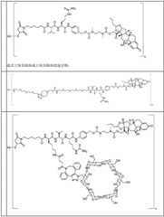 Figure BDA0002889616220001461