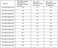 Figure imgf000091_0001