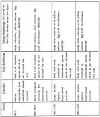 Figure imgf000029_0001