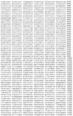 Figure IDA00002091897100501