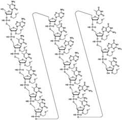 Figure BDA0003817829470000191