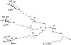 Figure imgf000206_0001