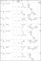 Figure imgf000019_0001