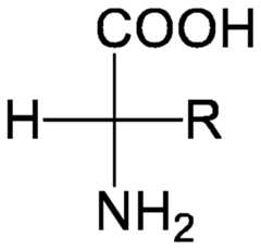 Figure imgf000044_0001