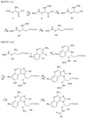 Figure 0007197244000034