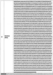 Figure imgf000039_0001