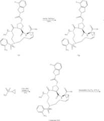 Figure US07829665-20101109-C00497