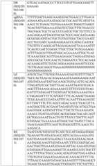 Figure BDA0004033970230005401