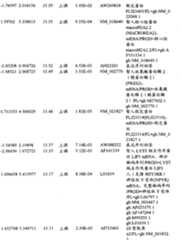 Figure BPA00001280678303091