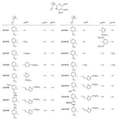 Figure JPOXMLDOC01-appb-C000042