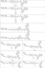 Figure PCTCN2022073822-appb-100179