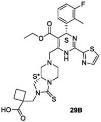 Figure BDA0003122494520001581