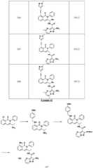 Figure imgf000268_0001