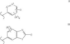 Figure US08178532-20120515-C00002