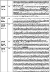 Figure imgf000169_0001