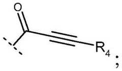 Figure FDA0002673094520000034