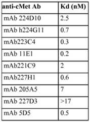 Figure imgf000055_0001