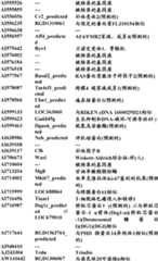 Figure BDA0000057170160000401