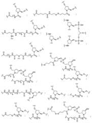 Figure 2023113843000022