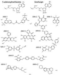 Figure imgf000160_0001