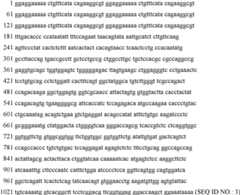 Figure GPA0000286587040000212