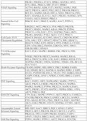 Figure imgf000086_0001