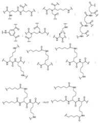 Figure 0007429103000147