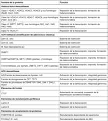 Figure imgf000029_0001