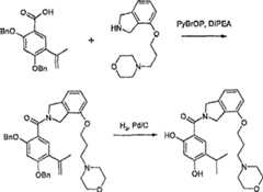 Figure S2006800208056D01291