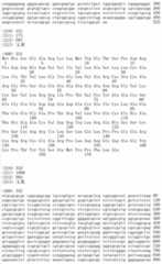 Figure IDA00002091897103051