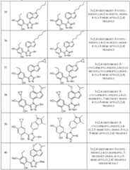 Figure imgf000035_0001