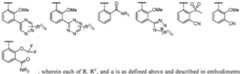 Figure imgf000033_0003
