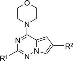 Figure BDA00001715781500011