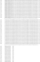 Figure GDA0002870045410001031