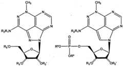 Figure imgf000032_0001