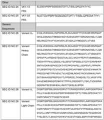 Figure imgf000046_0001