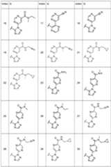 Figure imgf000077_0001